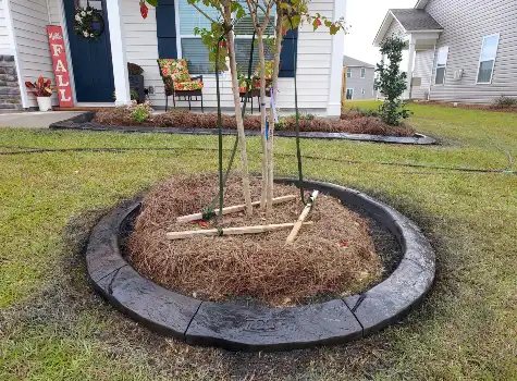 Decorative Concrete Curbing 4 Concrete Curb South Carolina and