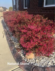 Landscape Curbing Gal 8 28 2025 11